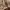https://res.cloudinary.com/billionhands/image/upload/v1775327784/items/o71pckecpvh7igr7pii2.jpg-3cover