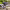 https://res.cloudinary.com/billionhands/image/upload/v1775327914/items/blcut8jzu2jdeuvlqurl.jpg-0cover