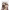 https://res.cloudinary.com/billionhands/image/upload/v1775327945/items/djdxxclztx1ybosr0hzb.avif-0cover