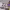 https://res.cloudinary.com/billionhands/image/upload/v1775327950/items/g49okg36amde5wxhcjti.jpg-3cover