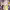 https://res.cloudinary.com/billionhands/image/upload/v1775327951/items/sagfa8waenm652adamcv.webp-2cover