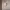 https://res.cloudinary.com/billionhands/image/upload/v1775328120/items/n9wvz5pnl3569hpga7bw.jpg-2cover