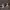 https://res.cloudinary.com/billionhands/image/upload/v1775328179/items/kodtlunol1gplhcdzsfv.jpg-0cover
