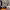 https://res.cloudinary.com/billionhands/image/upload/v1775328357/items/arg9jwjmwfiqoukmgbdt.png-3cover