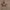 https://res.cloudinary.com/billionhands/image/upload/v1775328385/items/ohkjndganfqpzrhkfrec.jpg-2cover
