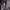 https://res.cloudinary.com/billionhands/image/upload/v1775328387/items/evtc6n3skxgnaken4ezu.jpg-2cover