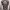 https://res.cloudinary.com/billionhands/image/upload/v1775328562/items/kpyypfyvf2l68ragux5s.webp-1cover