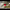 https://res.cloudinary.com/billionhands/image/upload/v1775328588/items/qni5pth4uox4oda2smrr.jpg-1cover