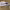 https://res.cloudinary.com/billionhands/image/upload/v1775328901/items/hpkbm2tpy3yhoi17nhwy.jpg-1cover