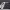 https://res.cloudinary.com/billionhands/image/upload/v1775328901/items/mb3ambwkygmgn0muszwl.jpg-2cover