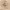 https://res.cloudinary.com/billionhands/image/upload/v1775329045/items/roaszkxripuvtegnjugr.webp-2cover