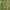 https://res.cloudinary.com/billionhands/image/upload/v1775329195/items/t4adiz6nb9jbnk5fa3nv.jpg-2cover
