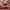 https://res.cloudinary.com/billionhands/image/upload/v1775329441/items/d7ozlmzblvepy2ftkyx9.jpg-2cover