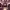 https://res.cloudinary.com/billionhands/image/upload/v1775329467/items/bi7sg4ksytb4uz2ymqq4.jpg-1cover