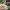 https://res.cloudinary.com/billionhands/image/upload/v1775329511/items/psx18ckiscfp9yyx6p8r.jpg-0cover