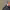 https://res.cloudinary.com/billionhands/image/upload/v1775329600/items/t3d862xvzgjjl8ssqmxv.jpg-1cover