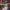 https://res.cloudinary.com/billionhands/image/upload/v1775329923/items/o3a9tq0714msryw2rwxe.webp-1cover