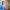 https://res.cloudinary.com/billionhands/image/upload/v1775330137/items/rcw5ktxvgbs6buxpptpq.jpg-1cover