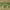 https://res.cloudinary.com/billionhands/image/upload/v1775330336/items/fchgdiiuooutjkzezfxf.jpg-1cover