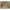 https://res.cloudinary.com/billionhands/image/upload/v1775330337/items/ai3jukbivvjjxja4s25m.jpg-3cover