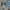 https://res.cloudinary.com/billionhands/image/upload/v1775330337/items/ouodvlwdaisamitdpajc.webp-2cover