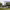 https://res.cloudinary.com/billionhands/image/upload/v1775330471/items/vg7wpghg92jrm98caliy.webp-2cover
