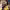 https://res.cloudinary.com/billionhands/image/upload/v1775330614/items/nkti4makmpdwahdzzvbj.jpg-0cover