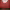 https://res.cloudinary.com/billionhands/image/upload/v1775330617/items/qahn6dlfgry8nuvs7amd.jpg-0cover