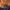 https://res.cloudinary.com/billionhands/image/upload/v1775330620/items/qxfcgzmflm1zbt3cdds4.jpg-2cover