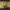 https://res.cloudinary.com/billionhands/image/upload/v1775330621/items/xbkcof5htbiz24heu5b7.jpg-3cover