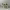https://res.cloudinary.com/billionhands/image/upload/v1775330947/items/kdtjwxdwzybat91kpmfw.webp-0cover
