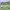 https://res.cloudinary.com/billionhands/image/upload/v1775331037/items/xle9jd7vak2abjrvltlk.jpg-3cover