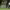 https://res.cloudinary.com/billionhands/image/upload/v1775331046/items/lvshsa4iuqouyfiewkqu.jpg-0cover