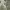 https://res.cloudinary.com/billionhands/image/upload/v1775331115/items/iw59oxqazqjakv4qsnrb.jpg-2cover