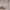 https://res.cloudinary.com/billionhands/image/upload/v1775331183/items/plfhcnmw4l03awtpte3b.jpg-2cover
