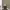 https://res.cloudinary.com/billionhands/image/upload/v1775331184/items/g6ch3tzfamtbskkpduvm.webp-3cover