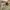 https://res.cloudinary.com/billionhands/image/upload/v1775331213/items/gngvbr8frstelk1cvgog.jpg-1cover