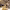 https://res.cloudinary.com/billionhands/image/upload/v1775331300/items/qljxhx6hpgsnyqx5uqk7.jpg-2cover