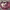 https://res.cloudinary.com/billionhands/image/upload/v1775331300/items/r94owvl9lymlq95unnqz.jpg-0cover