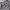 https://res.cloudinary.com/billionhands/image/upload/v1775331339/items/n4fn0kwzetlrbnmpzhcc.webp-3cover