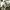 https://res.cloudinary.com/billionhands/image/upload/v1775332523/items/hlaipd1sllfya433lqy4.gif-3cover