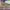 https://res.cloudinary.com/billionhands/image/upload/v1775333037/items/suz51zwrrgkylzd2budd.jpg-0cover