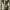 https://res.cloudinary.com/billionhands/image/upload/v1775333390/items/xabgeqar0hhfr9wks1lt.avif-0cover