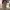 https://res.cloudinary.com/billionhands/image/upload/v1775333395/items/k3xshfdesvkmonqrdbe6.jpg-0cover