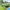 https://res.cloudinary.com/billionhands/image/upload/v1775333407/items/fq3sbsp4z8fdlp3dapdt.jpg-0cover