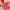 https://res.cloudinary.com/billionhands/image/upload/v1775333554/items/smyekzw45ghh9jsotsda.jpg-0cover