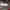 https://res.cloudinary.com/billionhands/image/upload/v1775333580/items/lqlpquku1tqo3lswicqi.jpg-1cover