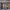 https://res.cloudinary.com/billionhands/image/upload/v1775333598/items/of1uardmgqsyete3ixwu.png-3cover