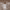https://res.cloudinary.com/billionhands/image/upload/v1775333695/items/jxo8nlh86rwobej2rwje.png-0cover