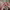 https://res.cloudinary.com/billionhands/image/upload/v1775333699/items/yub0u6suki6uz0stqtri.jpg-3cover
